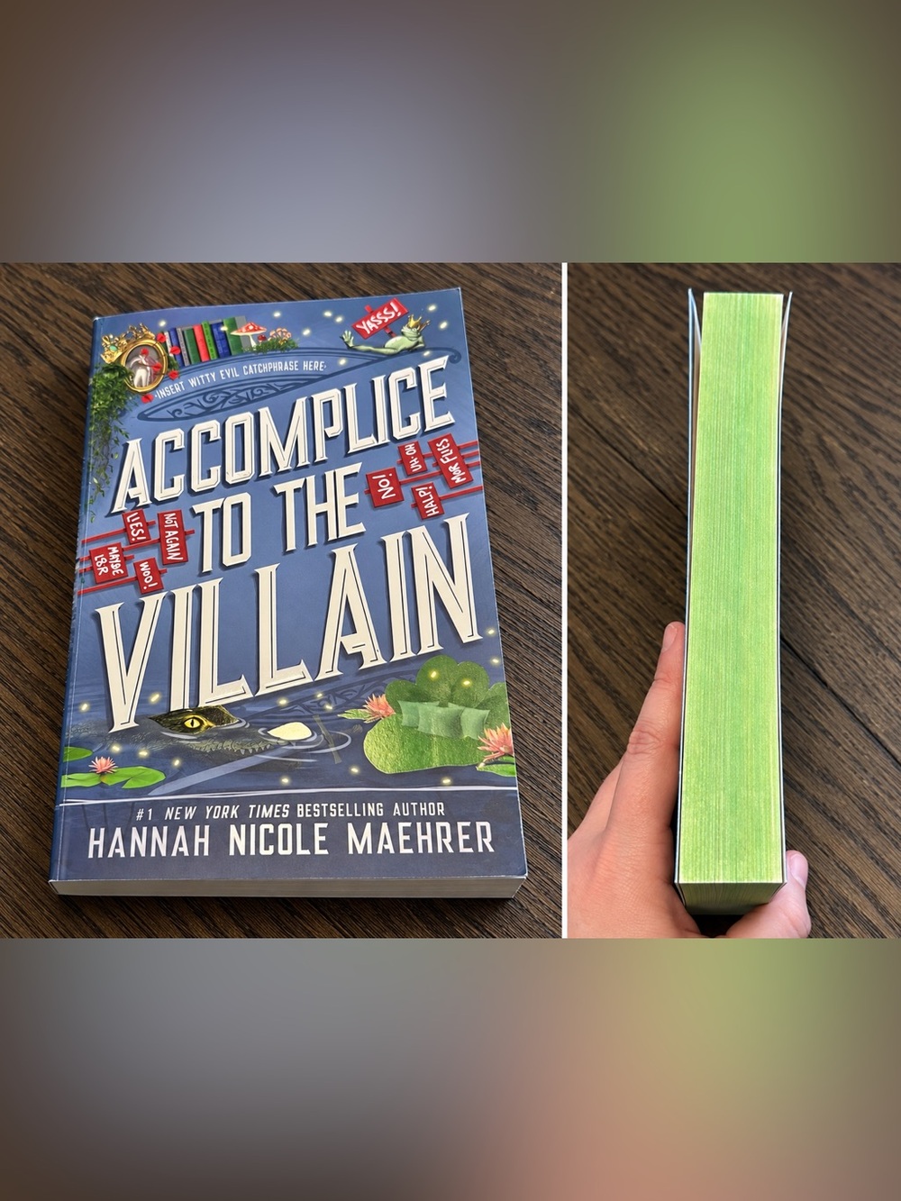 📚4 for $30 📚 Accomplice to The Villain